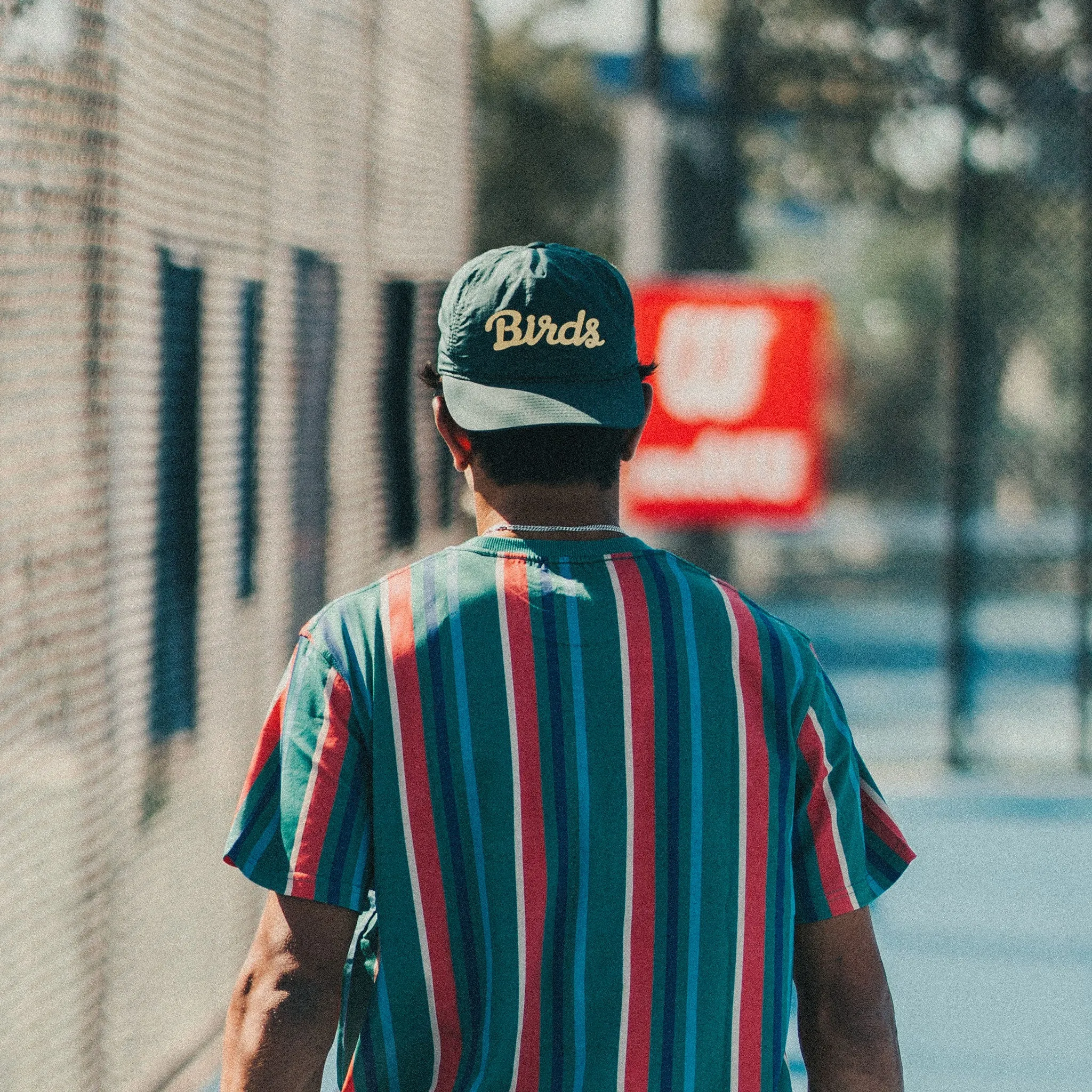 Birds Snapback